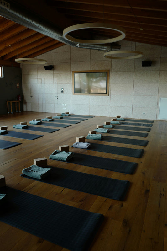 Yoga Workshop